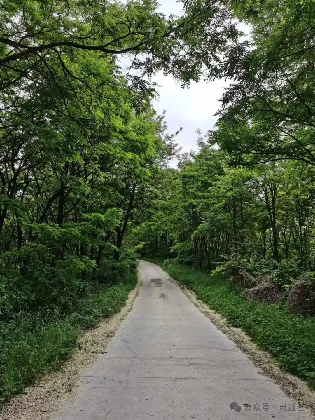 奇门风水的奥秘：掌握五行八卦与排盘方法，解读风水符号