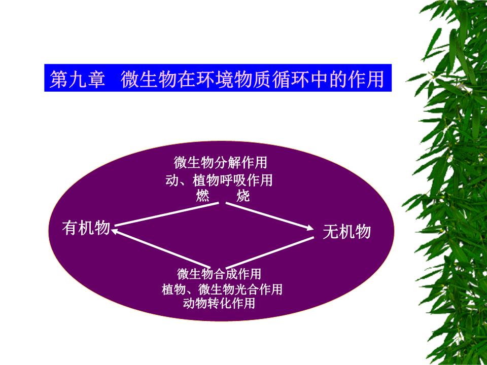 奇门遁甲中休门的象意解析及其在人类活动中的重要作用