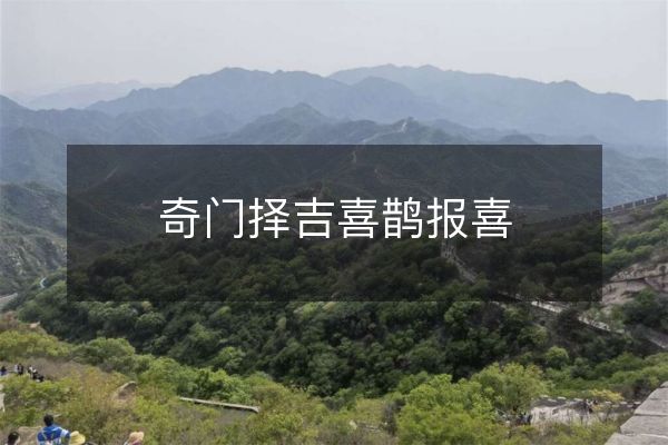 奇门择吉喜鹊报喜